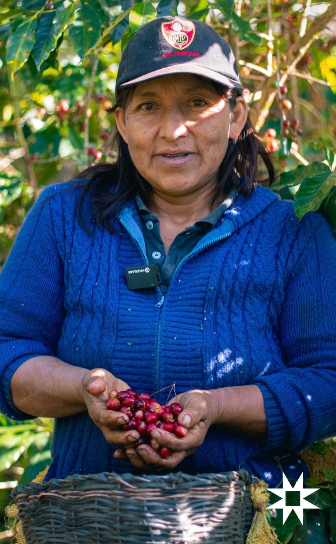 Yanesha Native Community Natural Process Roasted Coffee