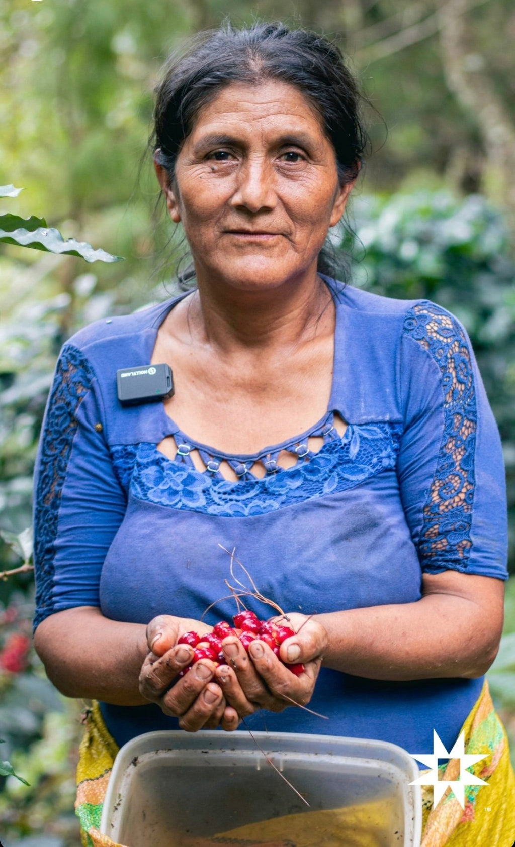 Yanesha Native Community Natural Process Roasted Coffee