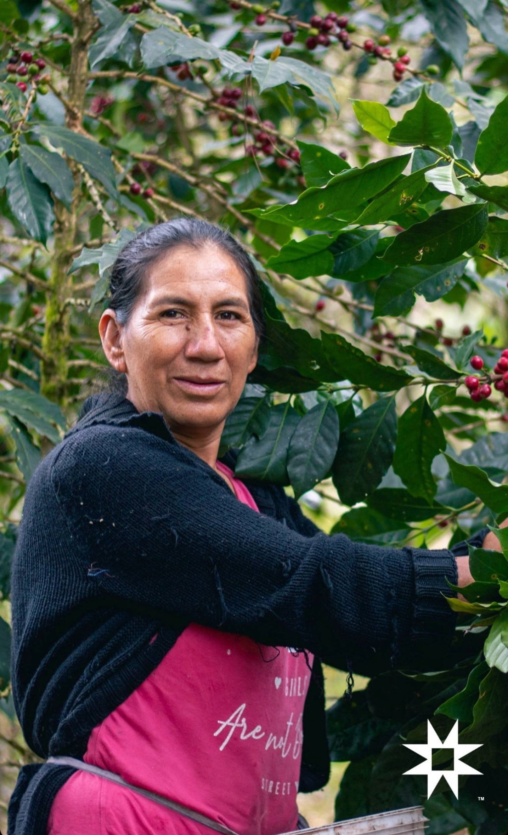 Yanesha Native Community Natural Process Roasted Coffee