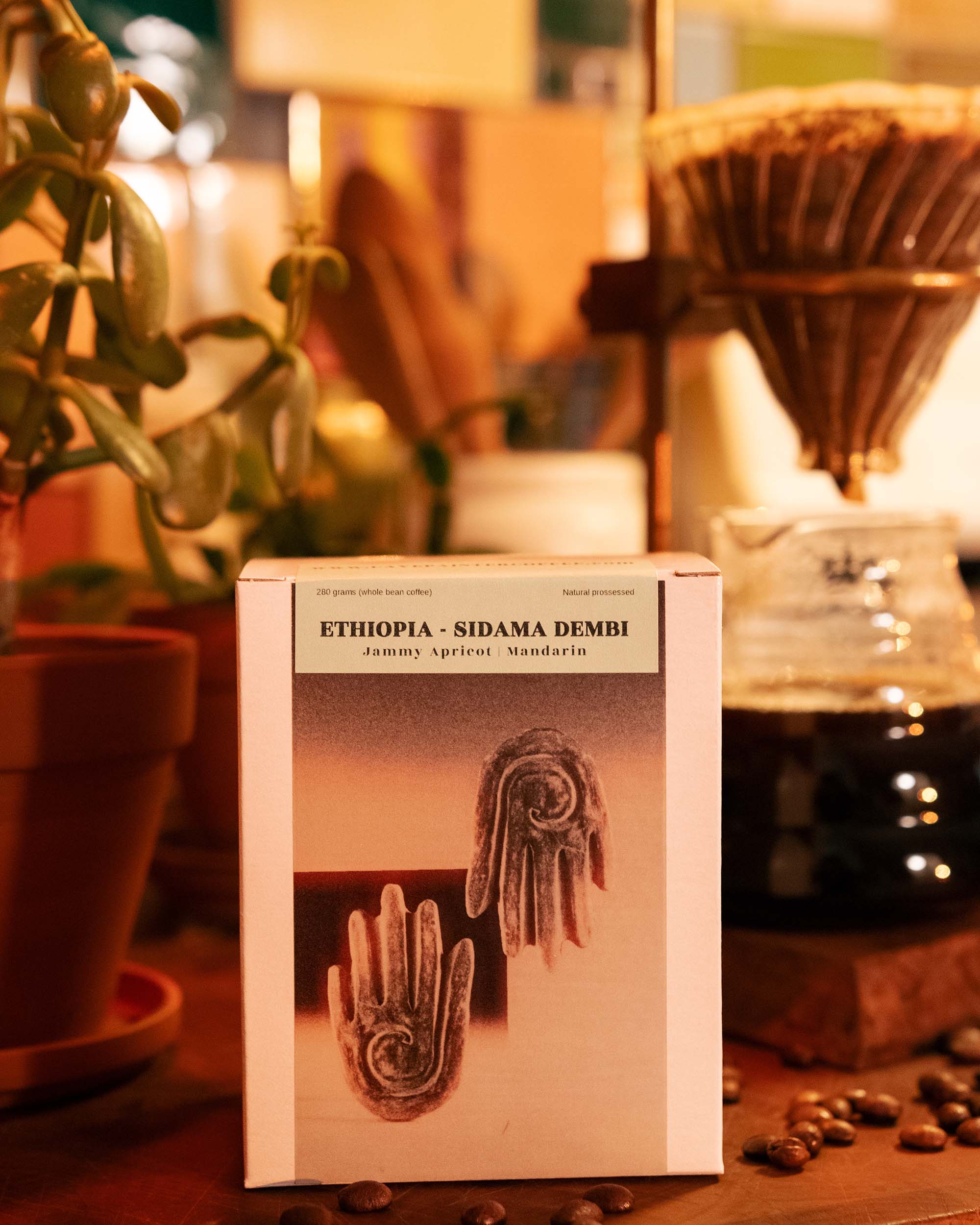 Roasters Choice: Single Box and Subscriptions